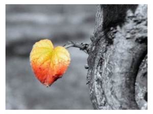 Para não ser infeliz