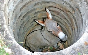 O Burro e o Poço