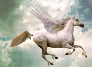 Seu cavalo pode voar