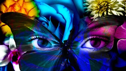 127661_Papel-de-Parede-Olhos-de-borboleta_1280x800