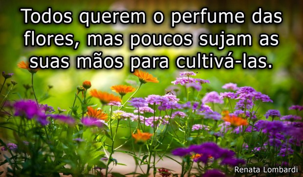 flores-coloridas-wallpaper