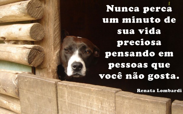 cao-pensando_1023_1920x1200