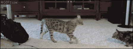 tumblr_inline_mmf5mfj34u1qz4rgp