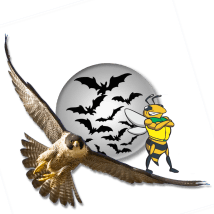 falcão morcego e zangão