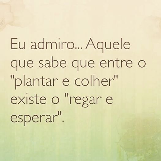 16114390_1231358023584516_4322241815136302229_n