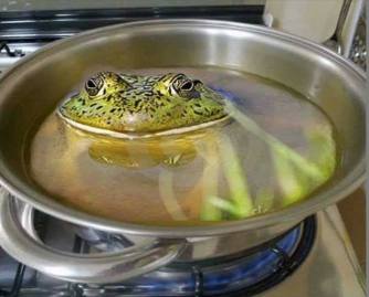 17155316_1237416076377321_4890358493255079558_n