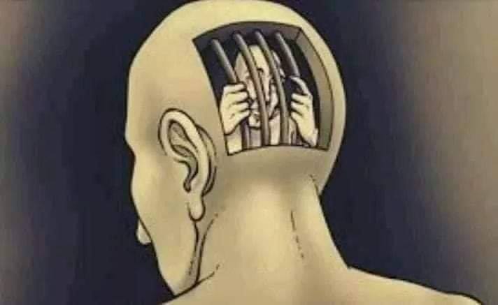 84019148_812816052519321_7113219046295732224_n